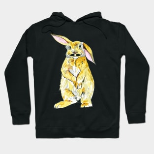 Rabbit with moustache Hoodie